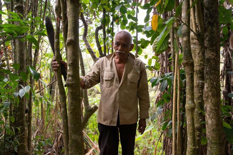Caféiculteur à la retraite, Ildefonso Toledo Gonzales vit en auto-suffisance grâce aux multiples végétaux qu’il collecte ou fait pousser dans la forêt. Également guérisseur de la communauté il connaît plus de 2 500 plantes.