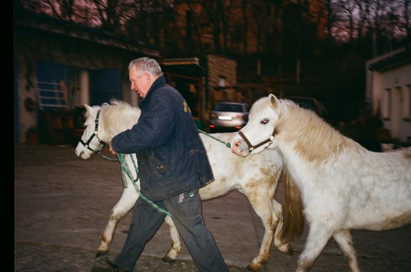 Marie Tomanova, Willy avec des chevaux, série Ce fut jadis mon univers, 2018-2019. Avec l’aimable autorisation de l’artiste.