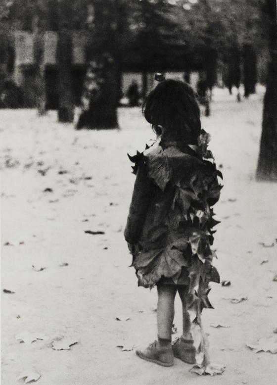 Petite fille aux feuilles mortes