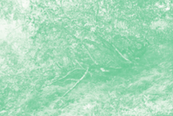 Image-forêt Q4162, sérigraphie sur papier velutto coton, pigments de mûrier blanc, de réséda et d'indigo absorbé sur argile