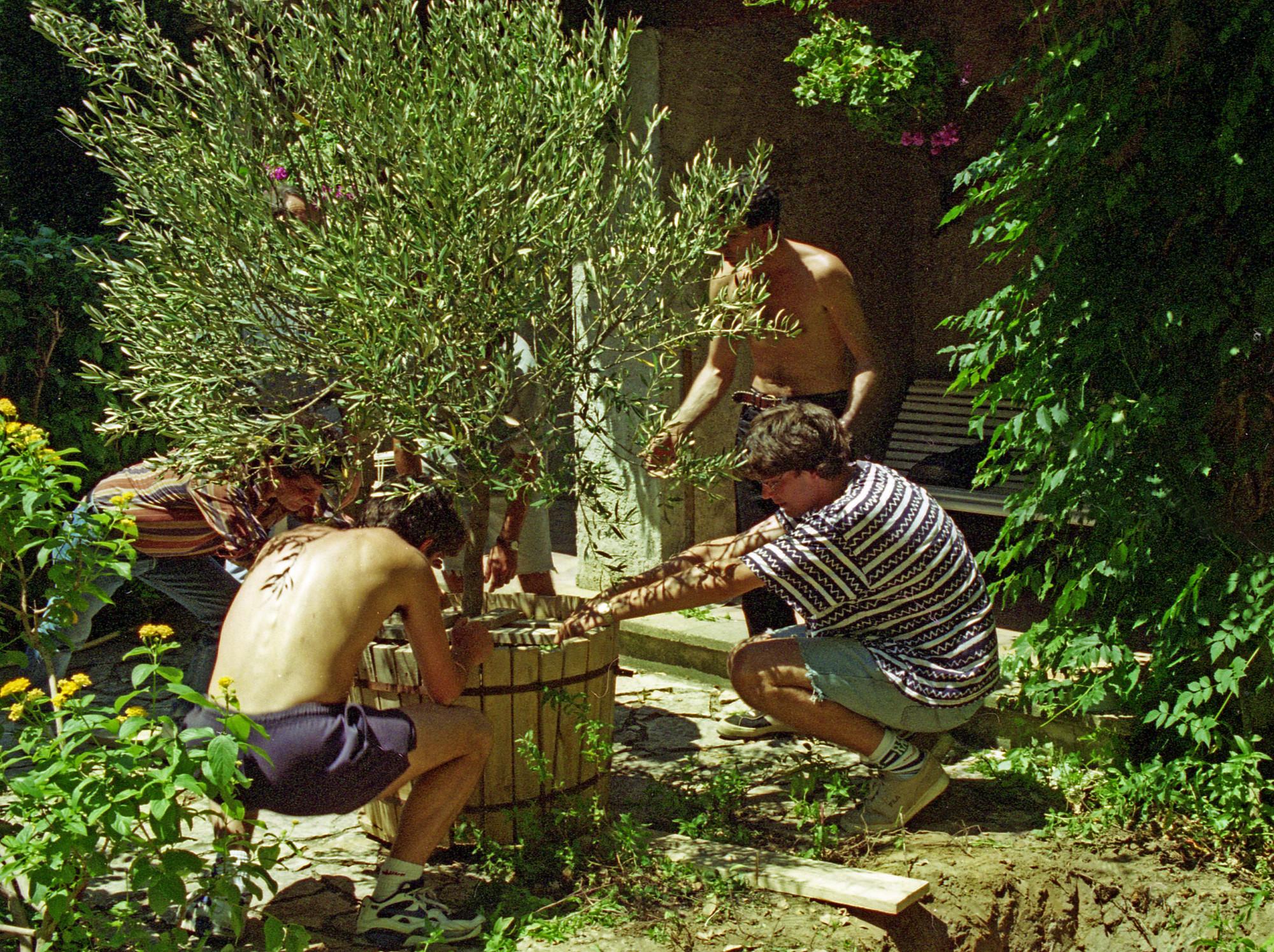 RIP 1996 Plantation d'un Olivier dans le jardin de l'Arlatan apres la mort de Roger Desjardin