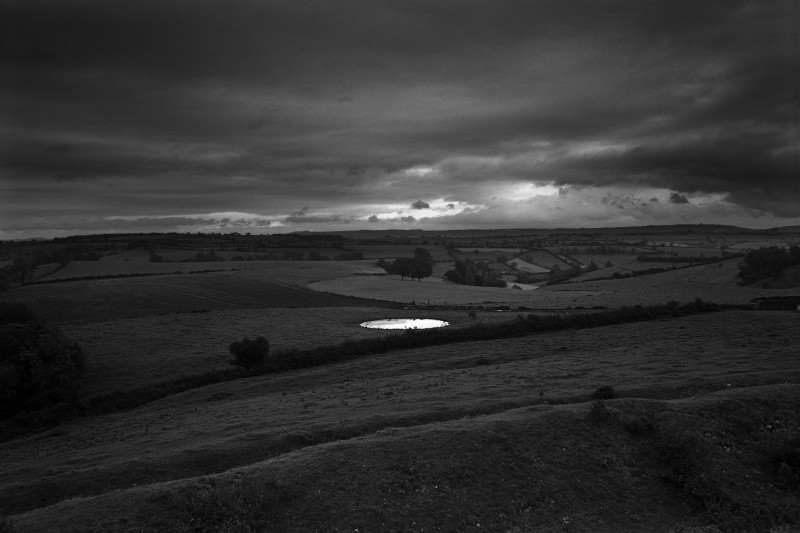 Mare près d’une colline fortifiée datant de l’âge de bronze, Somerset, 1988.