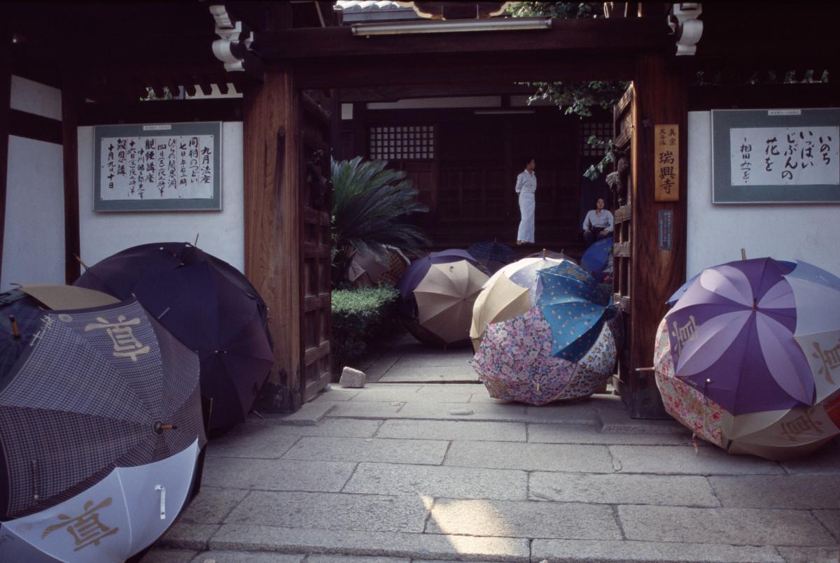 Vrai, Parapluie Zuiko, Huang Rui, 1999.