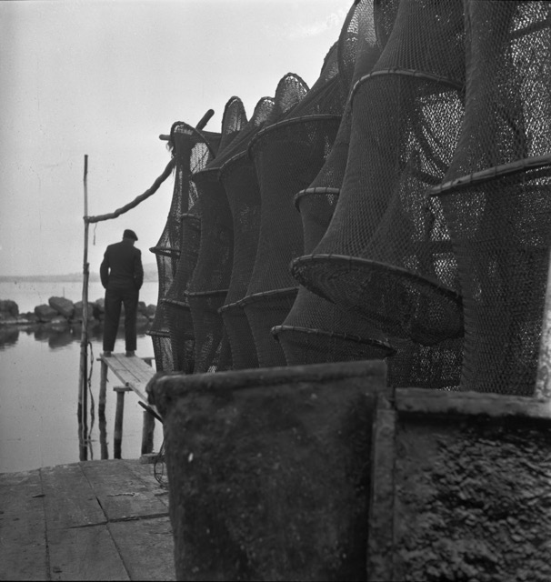 Agnès Varda.  Fishing lines at La Pointe Courte,