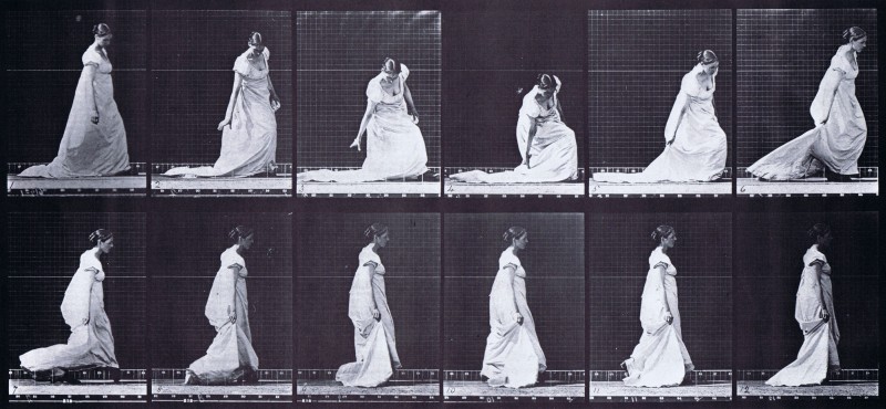Eadweard Muybridge, Animal Locomotion: Females & Males (draped).