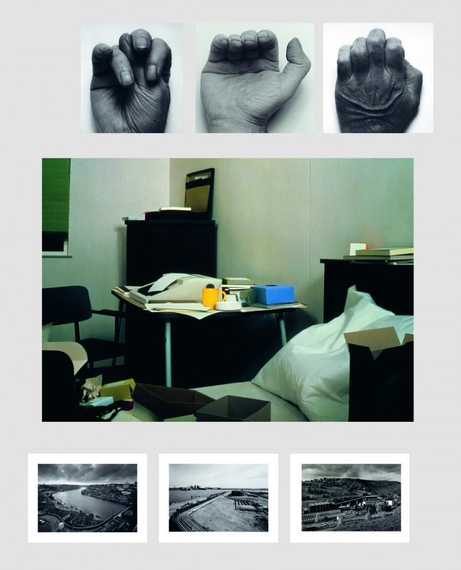 Extrait de Des images comme des oiseaux, un regard de Patrick Tosani sur la collection photographique du Centre national des arts plastiques.
