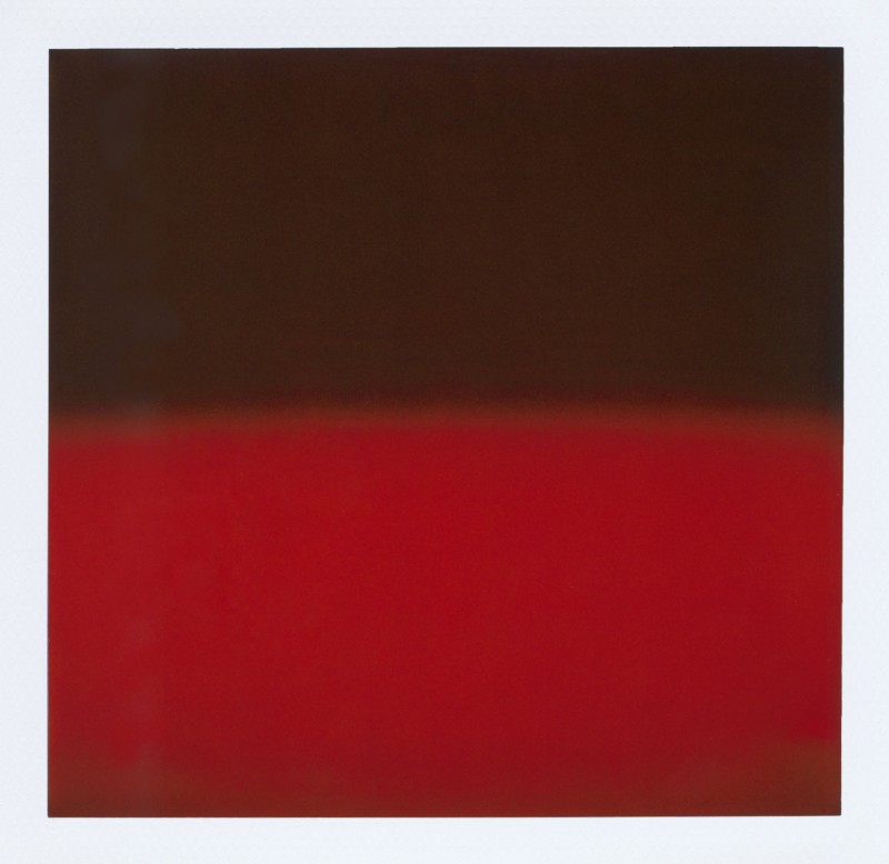 Hiroshi Sugimoto Polarized Color 020, 2010.