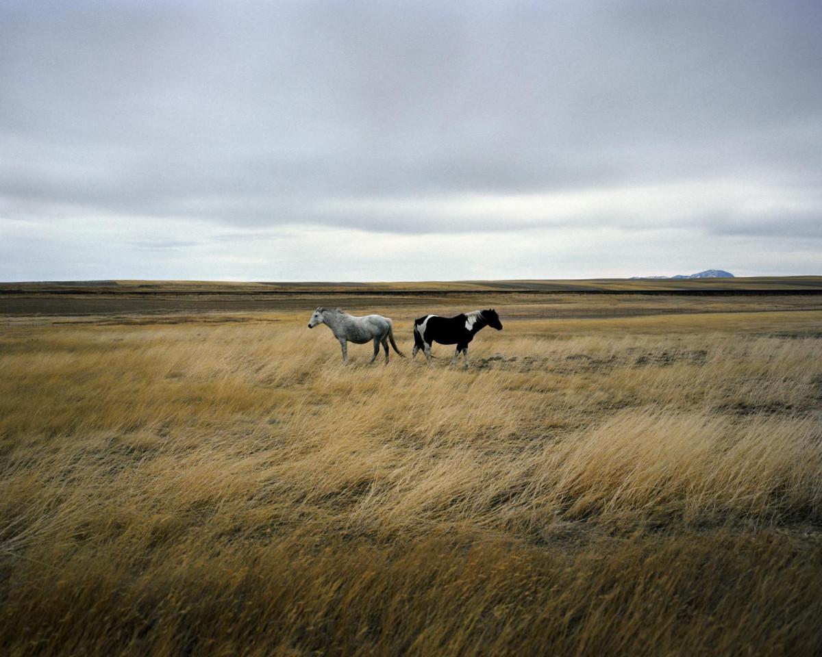 Jean-Luc Bertini, Shelby, Montana, 2012.