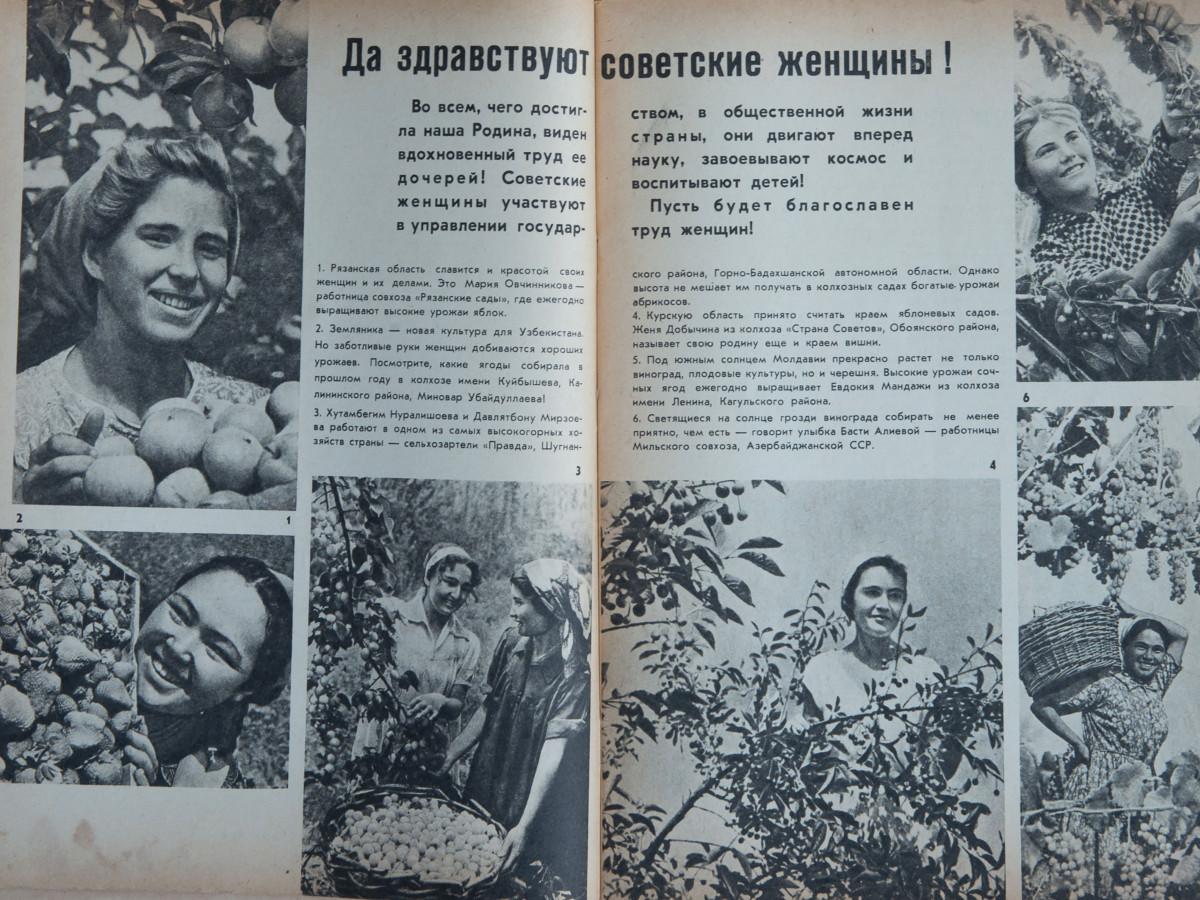 Olga Grotova. Sadovodstvo (Gardening), magazine, USSR, 1965, from the series Our Grandmothers’ Gardens, 2022. Courtesy Olga Grotova (archive).
