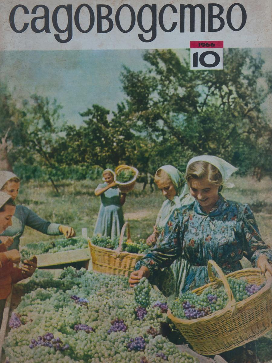 Olga Grotova. Sadovodstvo (Gardening), magazine, USSR, 1966, from the series Our Grandmothers’ Gardens, 2022. Courtesy Olga Grotova (archive).