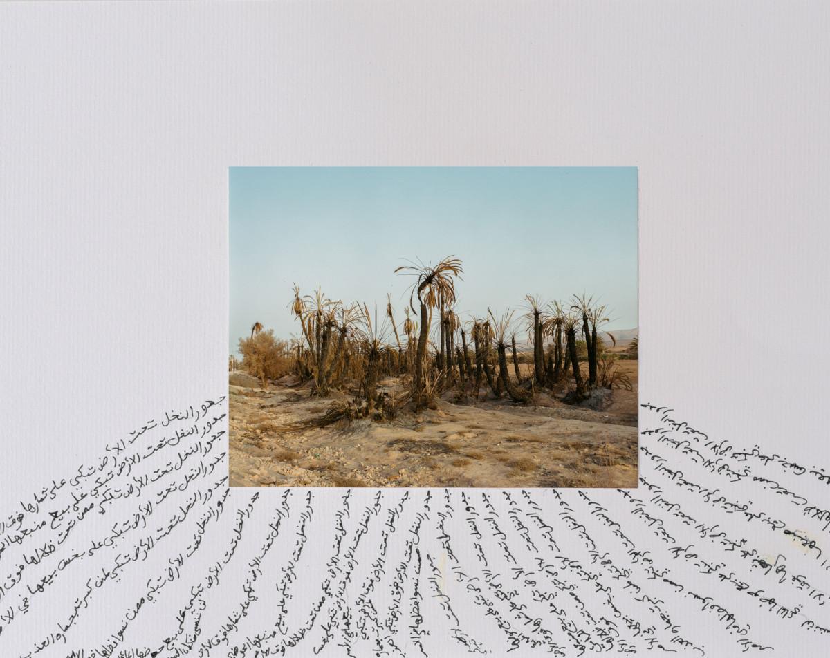 Seif Kousmate. A Landscape of Tighmert Oasis [with a poem by Ibrahim Rajeaa from the same Oasis] Tighmert, Morocco, September 2020, from the series Waha (Oasis). Courtesy Seif Kousmate.