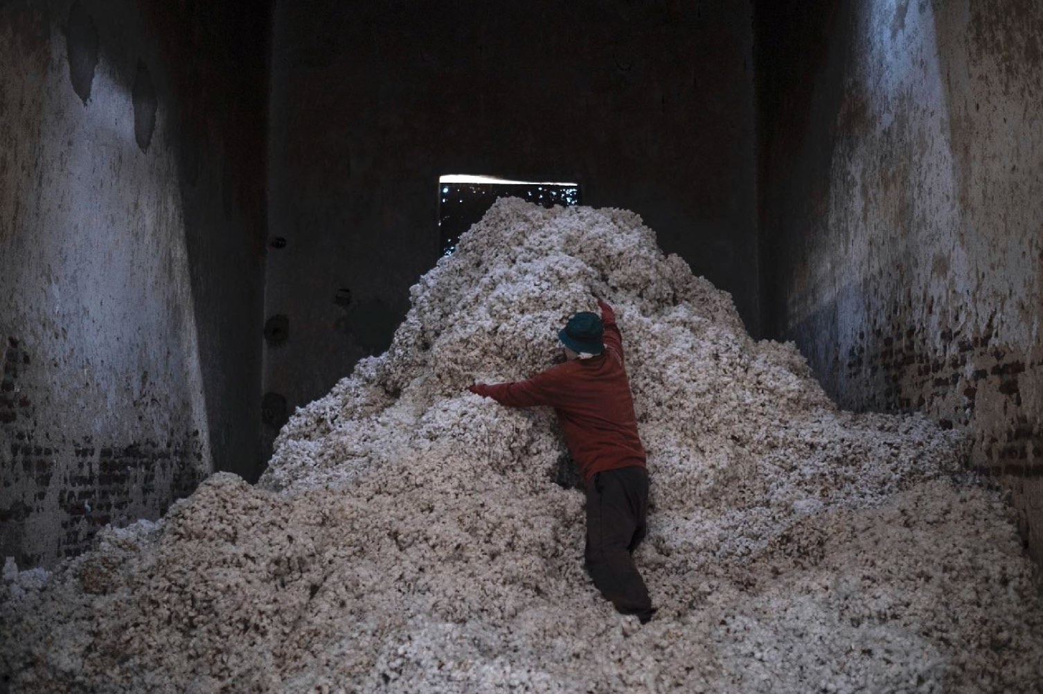 A mountain of cotton