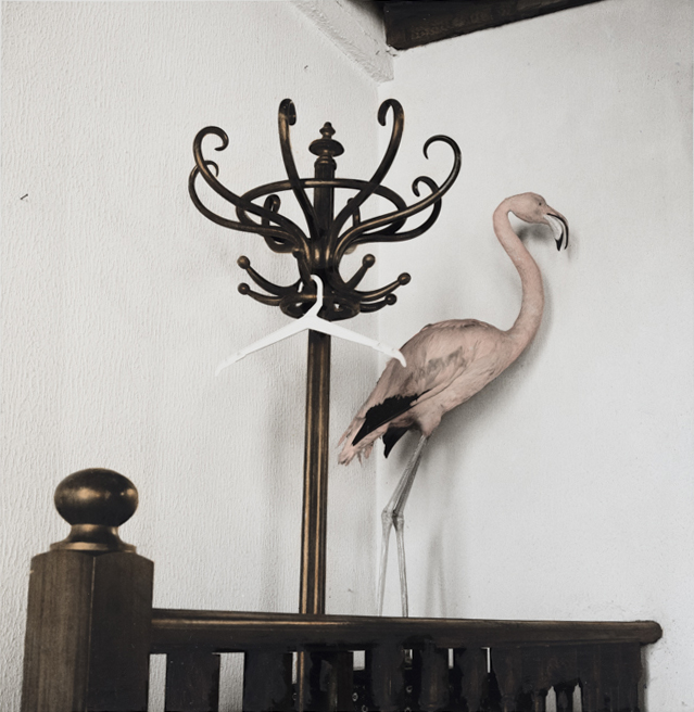 Flamingo restaurant, Arles