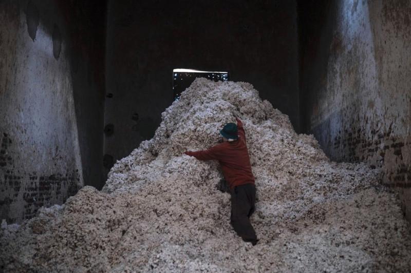 a-mountain-of-cotton