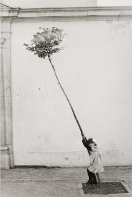 petite-fille-petit-arbre-espagne-1981