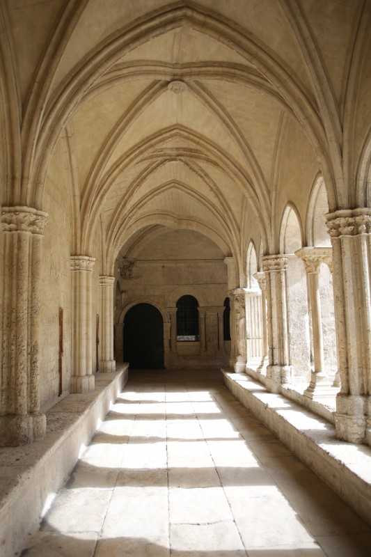 Cloître Saint-Trophime