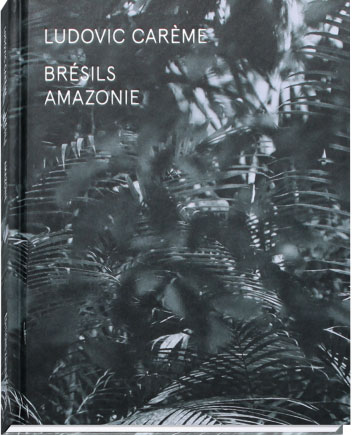 Brésils Amazonie